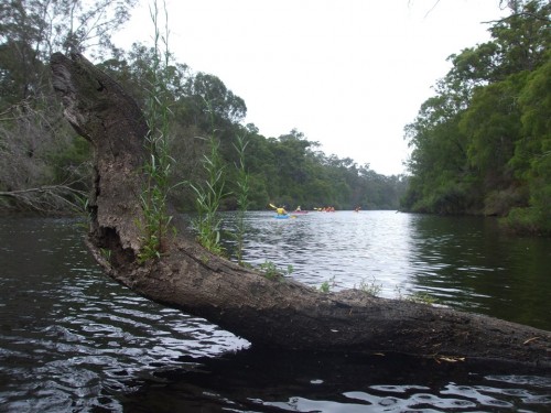 A View Downstream