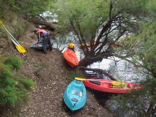 Launching Canoes Into The Blackwood River