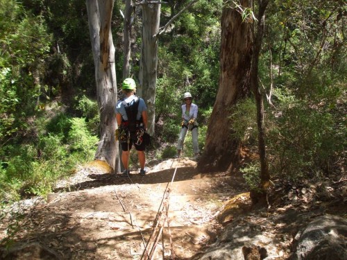 Alana Going Over The Edge