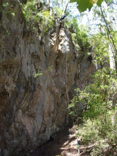 Steve Does His Spidey Routine