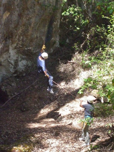 Just Dropping In ...