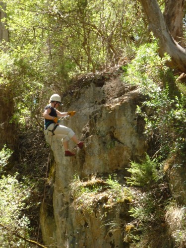 Just A Walk In The Park