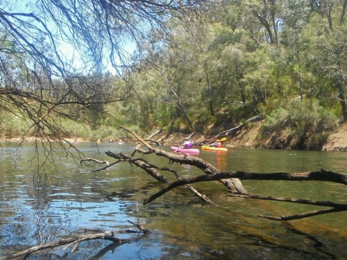 I think someone's watching