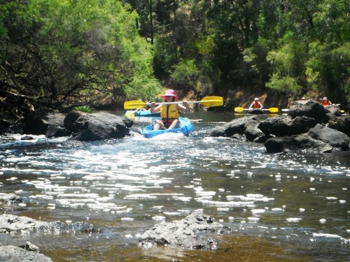 Pam braves the rapids