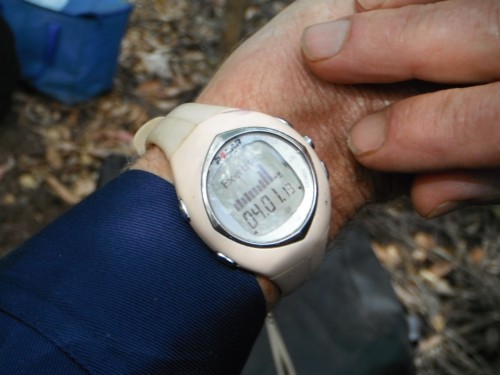 Heart Scare Factor, 130 BPM