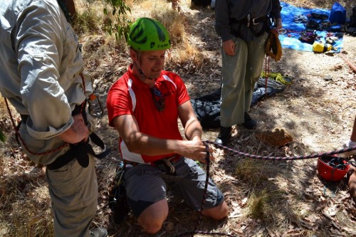 Feed it into the frying pan