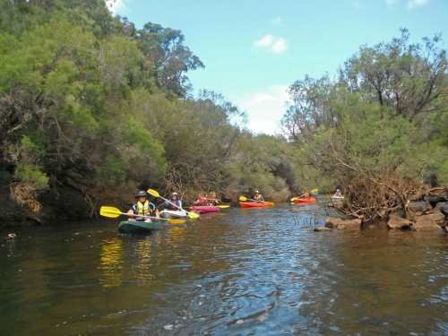 Lets play Follow the Leader