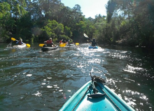 Sun sparkling on the Blackwood River