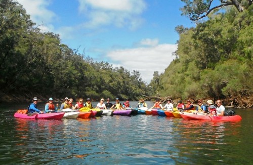 A perfect raft formation
