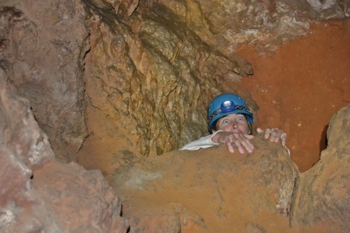 Liz's amazing disappearing act