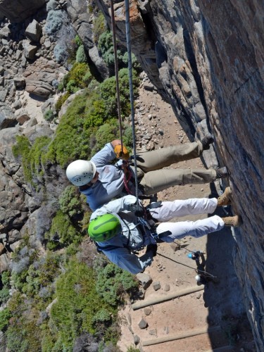 Chloe decends in tandem with Markus