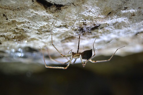 Just Come A Little Bit Closer