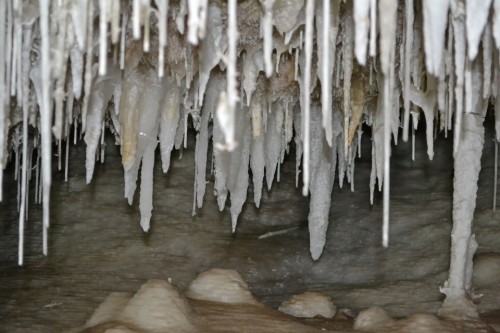 Clean White Stalactites In Dingo Cave
